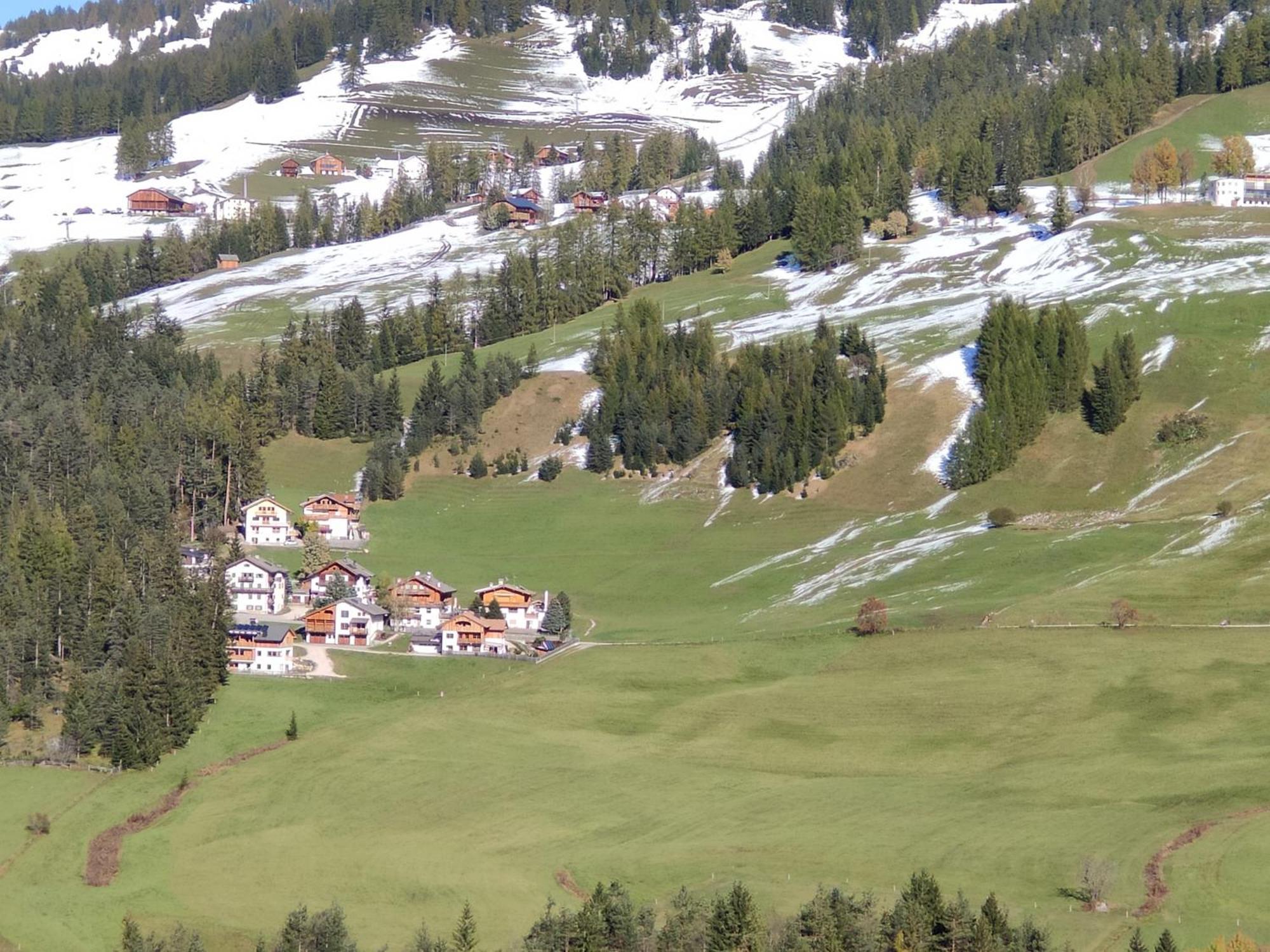 Erica Apartment Badia (South Tyrol)